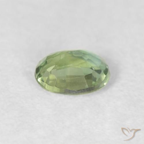 Zafiro Verde cálido natural de 0.30 ct, Ovalada, VVS