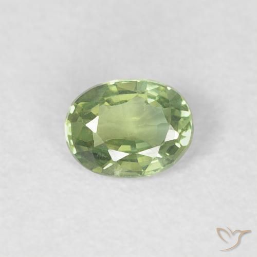 0.24ct Natural Verde cálido Zafiro, Ovalada, VVS-VS