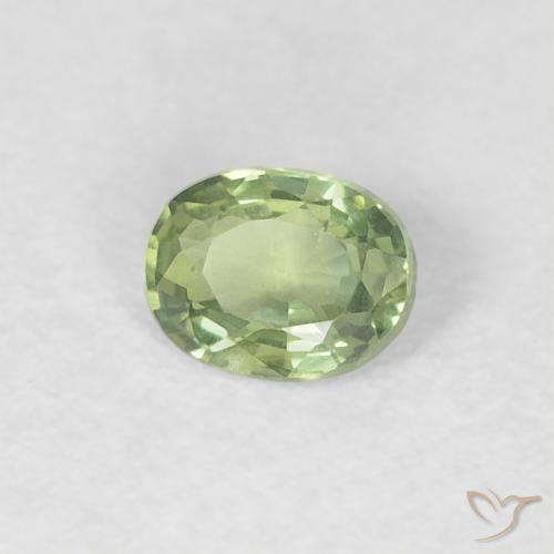 Zafiro Verde cálido natural de 0.24 ct, Ovalada, VVS-VS