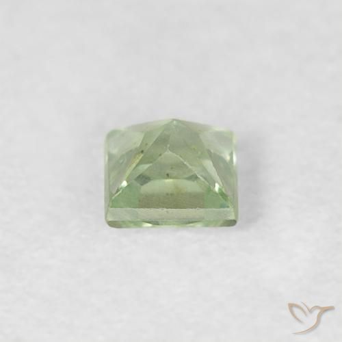 Zafiro Verde muy claro natural de 0.19 ct, Cuadrado, VVS-VS