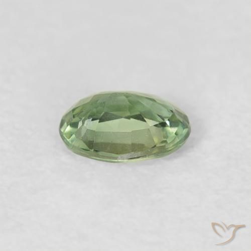 Zafiro Verde amarillento natural de 0.27 ct, Ovalada, VVS-VS
