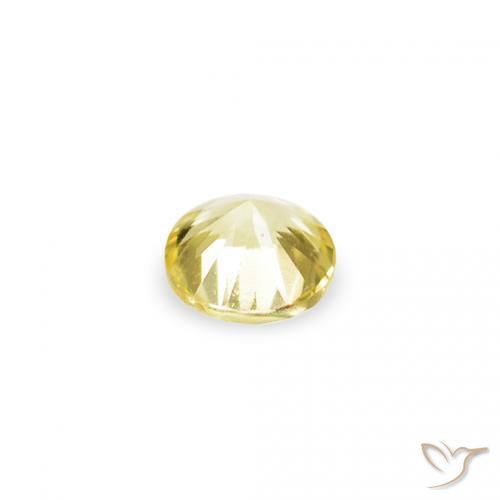Gemas de Zafiro Amarillo claro natural de 1.54 ct, Redondo, VVS-VS