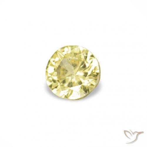 Gemas de Zafiro Amarillo claro natural de 1.53 ct, Redondo, VVS-VS