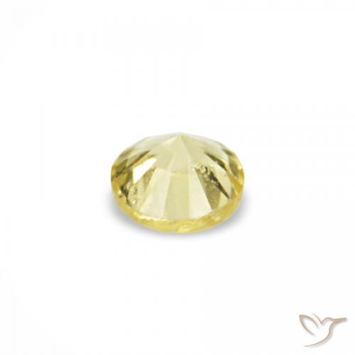 Gemas de Zafiro Amarillo claro natural de 1.53 ct, Redondo, VVS-VS