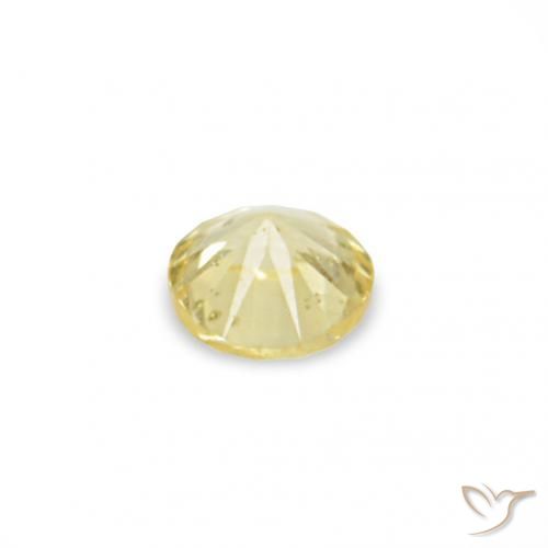 Gemas de Zafiro Amarillo claro natural de 1.52 ct, Redondo, VS