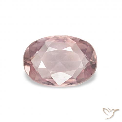 0.52ct Rosado bubblegum claro Zafiro Piedras Preciosas, Ovalada, VVS