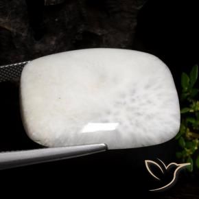 Escolecita Blanco claro natural de 30.85 ct, Forma Cojín, Opaco