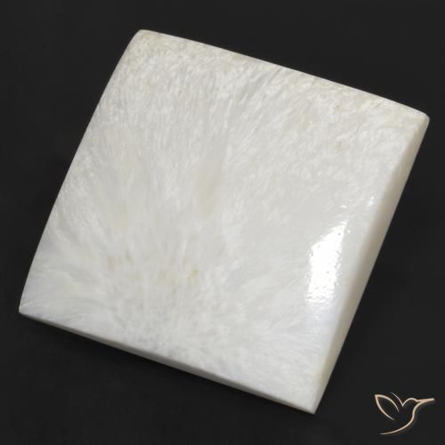 Escolecita Blanco crema natural de 79.97 ct, Cuadrado, Opaco