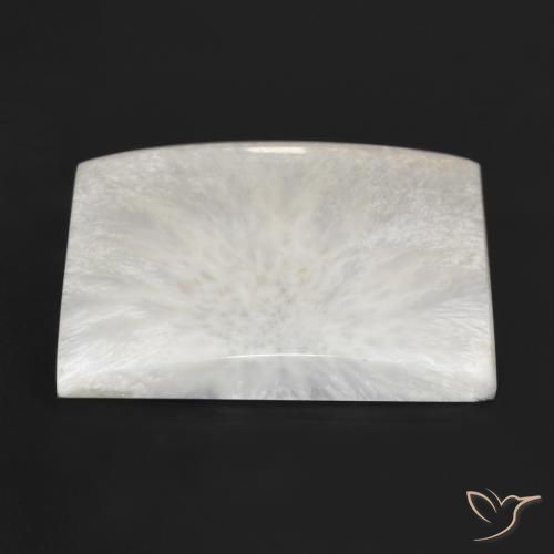 Escolecita Blanco crema natural de 79.97 ct, Cuadrado, Opaco