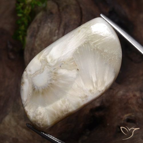 Scolecita blanco natural de 34,11 ct, forma elegante, opaco
