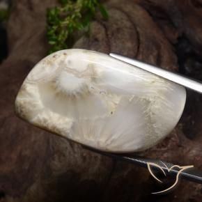 Scolecita blanco natural de 34,11 ct, forma elegante, opaco