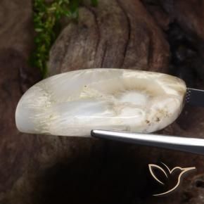 Scolecita blanco natural de 34,11 ct, forma elegante, opaco