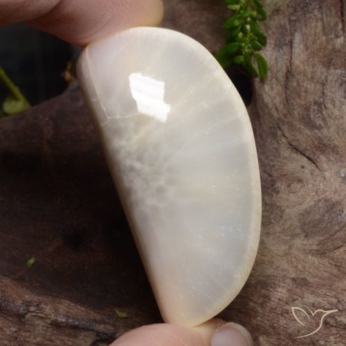 63.74ct Natural Blanco Escolecita, Elegante, Opaco