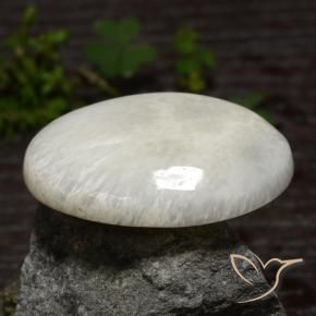 Escolecita Blanco apagado natural de 30.79 ct, Ovalada, Opaco