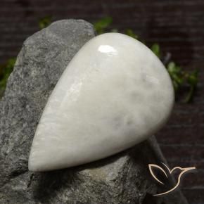 Escolecita Blanco crema natural de 28.69 ct, En forma de pera, Opaco
