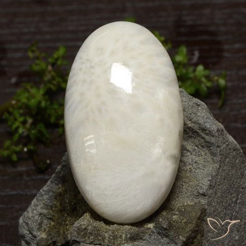 48.61ct Natural Blanco claro Escolecita, Ovalada, Opaco