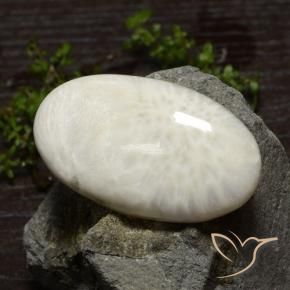 Escolecita Blanco claro natural de 48.61 ct, Ovalada, Opaco