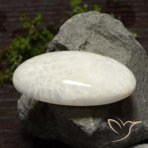 Escolecita Blanco claro natural de 48.61 ct, Ovalada, Opaco