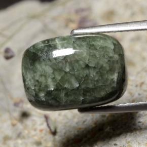 Serafinita verde natural de 5,99 ct, corte cojín, opaco