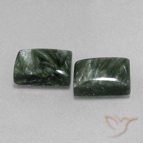 Gemas de Serafinita Verde bosque natural de 16.43 ct, Corte Baguette, Opaco