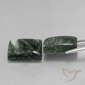 Gemas de Serafinita Verde bosque natural de 16.43 ct, Corte Baguette, Opaco
