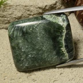Serafinita Verde oscuro natural de 46.46 ct, Corte Cojín, Opaco