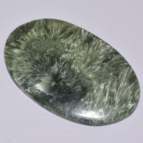 Serafinita Verde multicolor natural de 19.69 ct, Corte Óvalo, Opaco