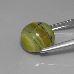 Serpentina verde natural de 3,99 ct, corte redondo, opaco