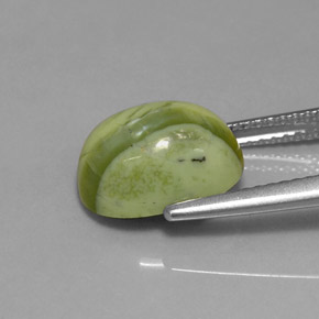 Serpentina verde natural de 3,59 ct, corte óvalo, opaco