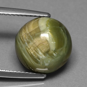 Serpentina verde natural de 5,69 ct, corte redondo, opaco