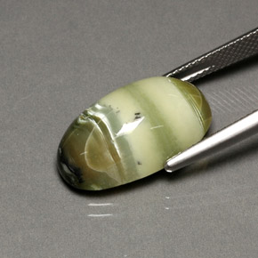 Serpentina verde natural de 9,88 ct, corte óvalo, opaco