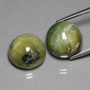 Gemas de serpentina verde natural de  ct, corte redondo, opaco