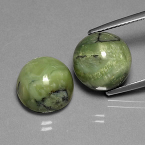 Gemas de serpentina verde natural de  ct, corte redondo, opaco