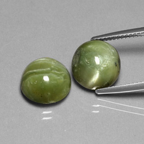 Gemas de serpentina verde natural de  ct, corte redondo, opaco