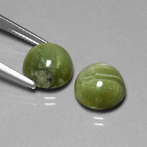 Gemas de serpentina verde natural de  ct, corte redondo, opaco