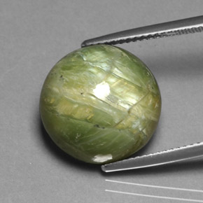 Serpentina verde natural de 11,85 ct, corte redondo, opaco