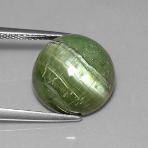 Serpentina verde natural de 6,40 ct, corte redondo, opaco