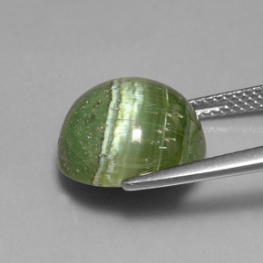 Serpentina verde natural de 6,40 ct, corte redondo, opaco