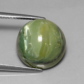 Serpentina verde natural de 8,26 ct, corte redondo, opaco