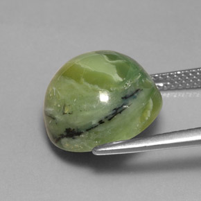 Serpentina verde natural de 8,26 ct, corte redondo, opaco