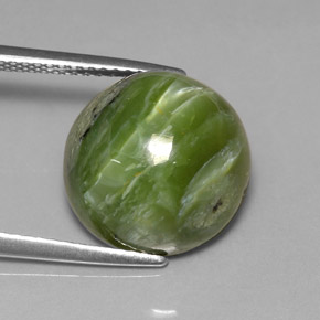 Serpentina verde natural de 7,28 ct, corte redondo, opaco