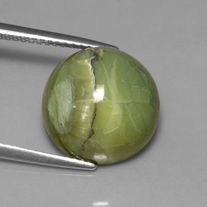 Serpentina verde natural de 7,23 ct, corte redondo, opaco