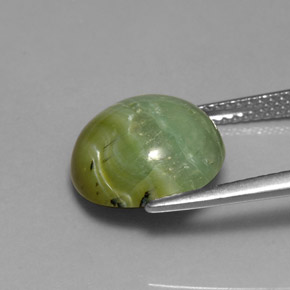 Serpentina verde natural de 4,61 ct, corte redondo, opaco