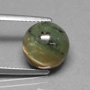 Serpentina verde natural de 3,63 ct, corte redondo, opaco