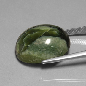 Serpentina verde natural de 26,53 ct, corte óvalo, opaco