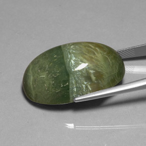 Serpentina verde natural de 38,22 ct, corte óvalo, opaco