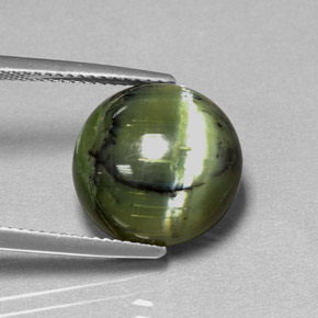 Serpentina verde natural de 7,53 ct, corte redondo, opaco