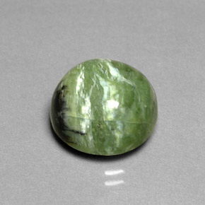 Serpentina verde natural de 7,91 ct, corte redondo, opaco
