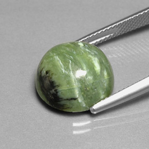 Serpentina verde natural de 7,91 ct, corte redondo, opaco