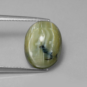 Serpentina verde natural de 5,26 ct, corte óvalo, opaco